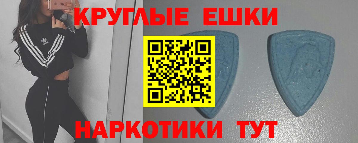 Ecstasy Philipp Plein Узловая
