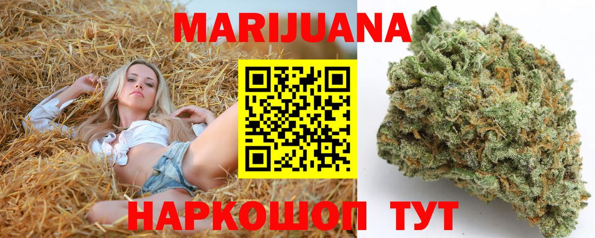 МАРИХУАНА семена Узловая